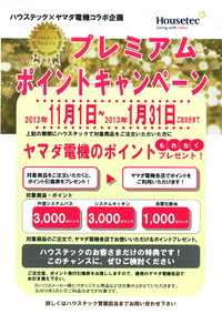 ヤマダ電機のポイントプレゼント♪