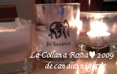 candles night☆
