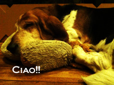 Eco Cool!!