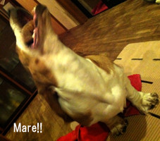 Mare5ヶ月!!