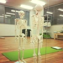 美☆YOGA