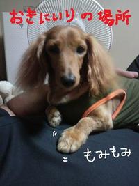 父ちゃん。 2009/09/01 15:50:43
