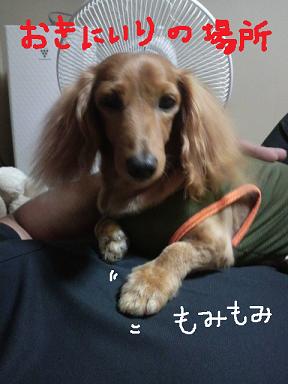 父ちゃん。