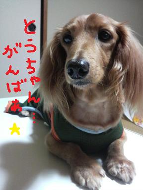 父ちゃん。