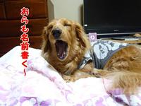 署名しました。 2011/03/23 19:31:28