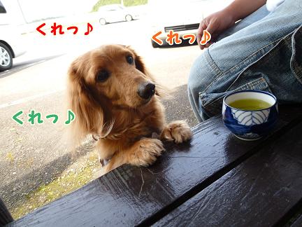 目的は食い物。