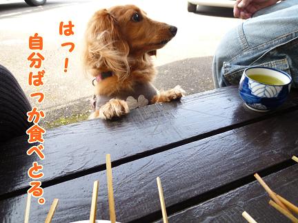 目的は食い物。