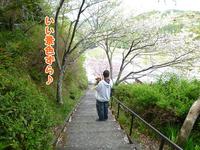 自由とは・・・ 2011/04/18 19:15:29