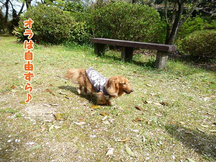 自由とは・・・