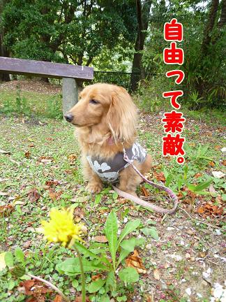 自由とは・・・