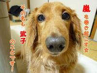 武子さん。 2011/04/20 21:41:48
