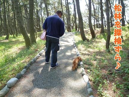 かぁちゃまの地元。