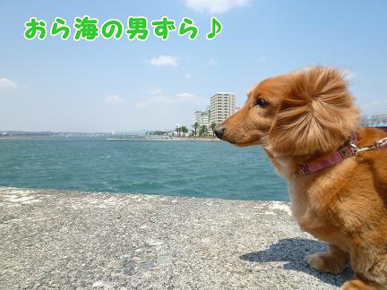 かぁちゃまの地元。