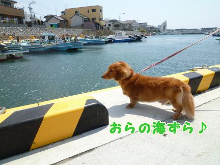 かぁちゃま地元その２