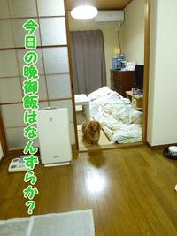 ぷしゅー。 2011/04/27 13:29:14