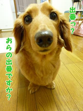 ぷしゅー。