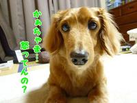 思うことなり。 2011/04/28 11:34:06