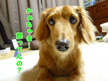 思うことなり。