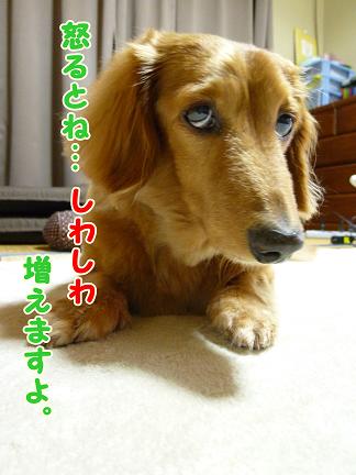 思うことなり。