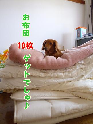 寝太郎。