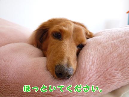 寝太郎。