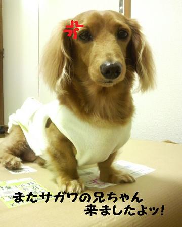 キャンプの準備♪その２