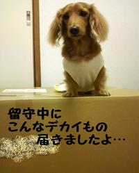 キャンプ準備♪ 2010/10/01 10:47:52