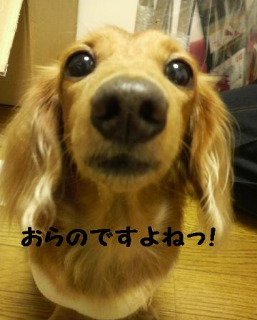 キャンプ準備♪