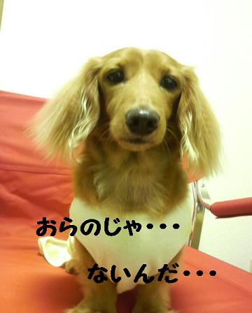キャンプ準備♪