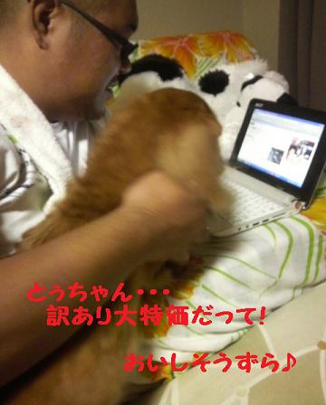 普通の日曜日・・・