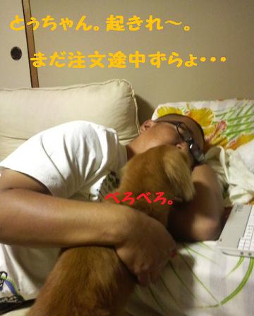 普通の日曜日・・・