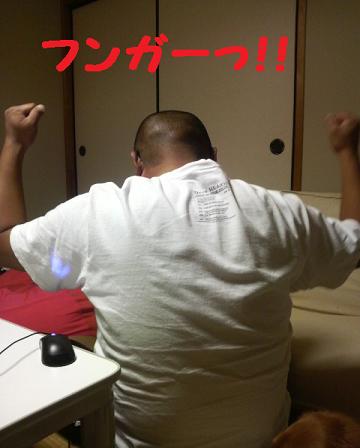普通の日曜日・・・