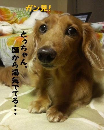 普通の日曜日・・・