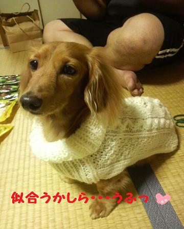 にせホピ男現る・・・