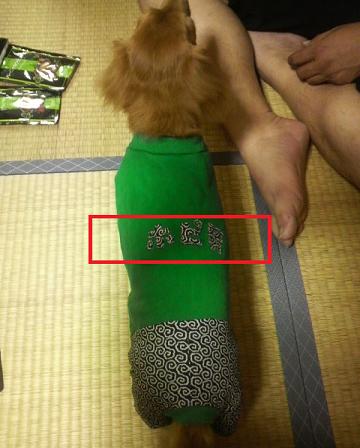 にせホピ男現る・・・