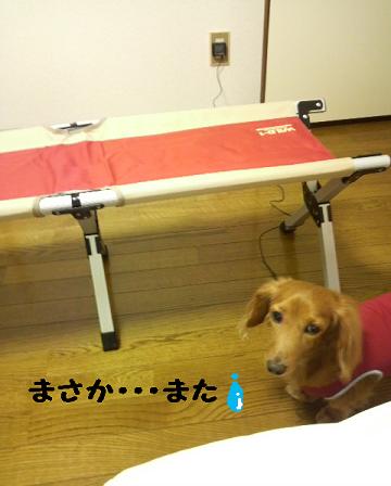 あちゃる専用♪