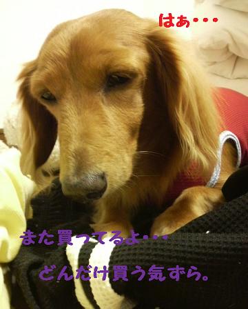 あちゃる専用♪