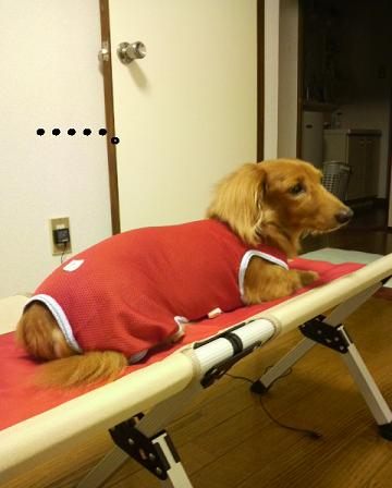 あちゃる専用♪
