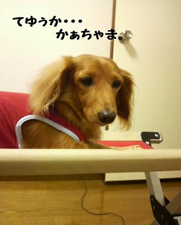 あちゃる専用♪