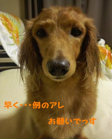 お風呂♪