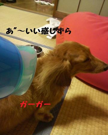 お風呂♪