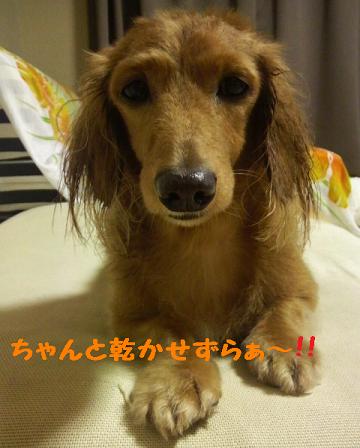 お風呂♪