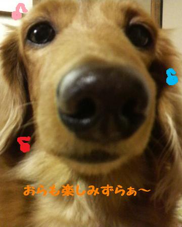 祭りだぉ♪