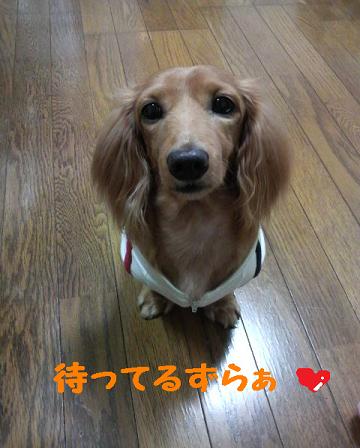 祭りだぉ♪