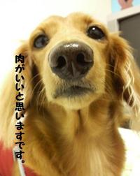 今日はお誕生日♪