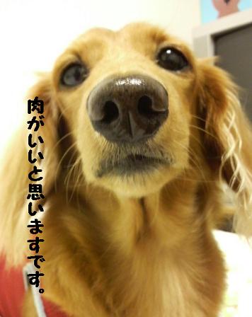 今日はお誕生日♪
