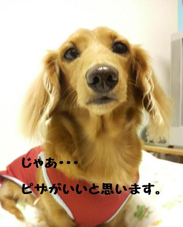 今日はお誕生日♪