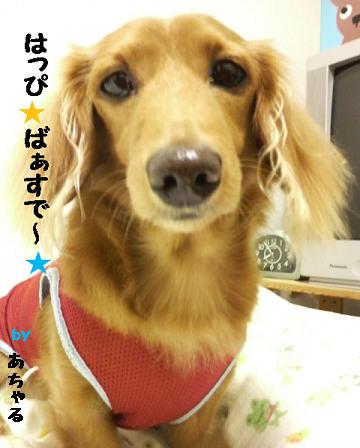 今日はお誕生日♪
