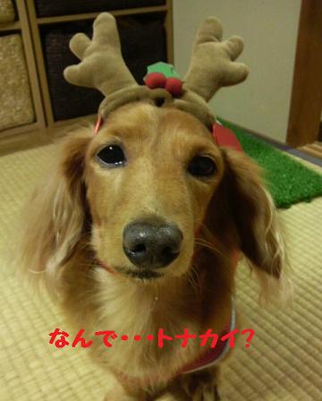 お誕生会♪
