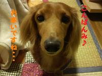 棒らーめん日和♪ 2010/10/28 19:58:36
